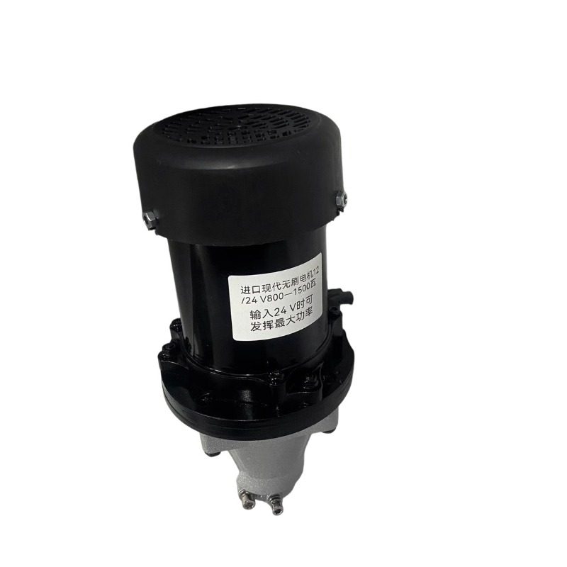 12-60V 500-1500W 낚시 보트/카약/풍선 보 - Fishing Boat Oar 리뷰 및 가격